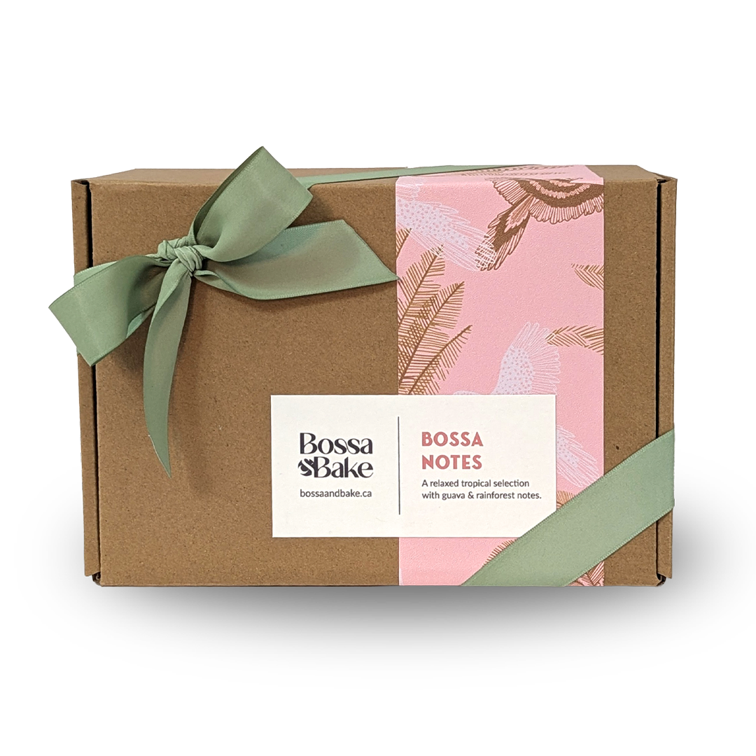 Gift Box - Bossa Notes